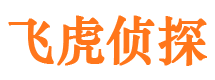 吉水市婚外情调查